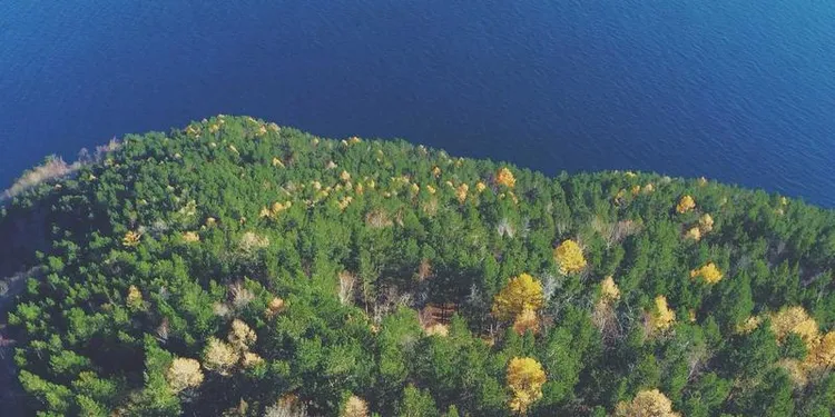 OpenClaw Setup: Preparing Your Environment for Agentic Automation